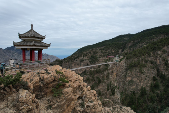 宁夏贺兰山苏峪口原始森林风光