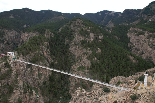 宁夏贺兰山苏峪口原始森林风光