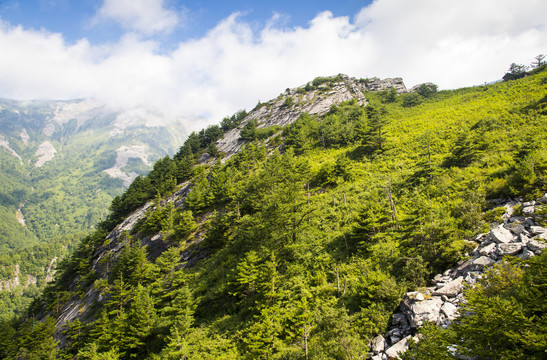 高山