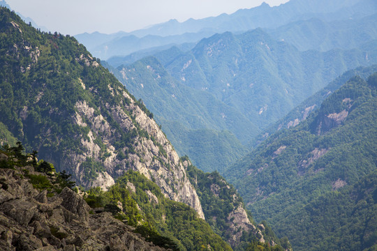 秦岭山