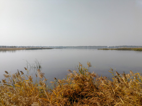 北京野鸭湖湿地公园