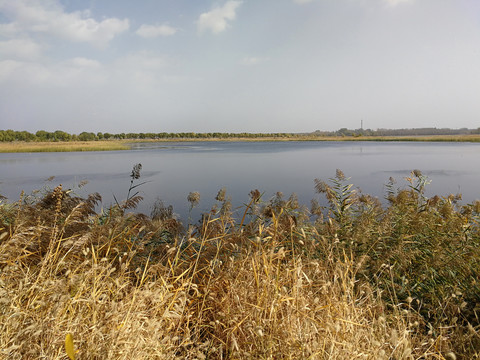 北京野鸭湖湿地公园