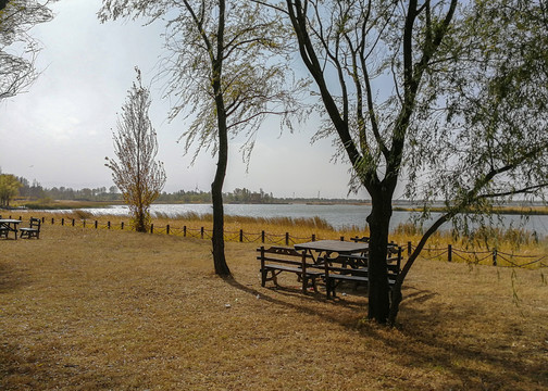 北京野鸭湖湿地公园