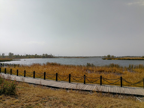 北京野鸭湖湿地公园