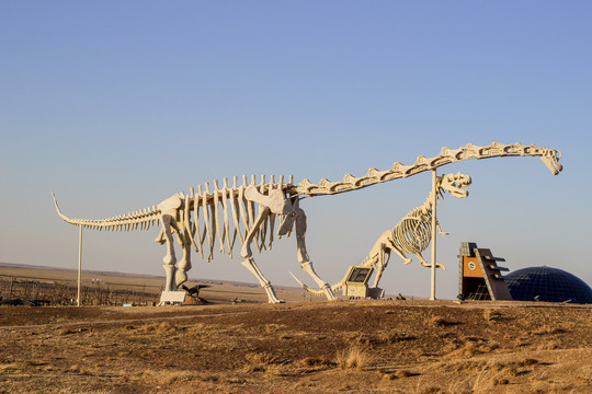 内蒙古二连浩特恐龙化石