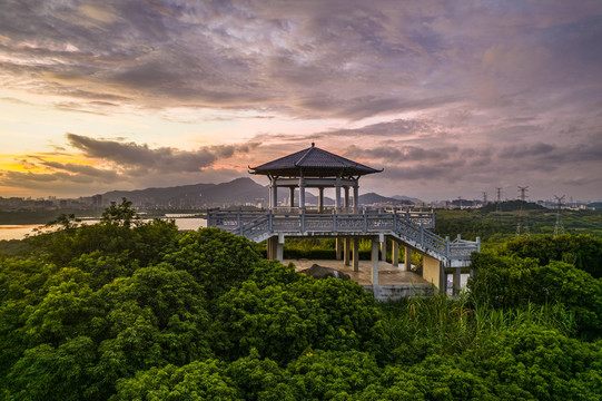 深圳石岩湖湿地公园