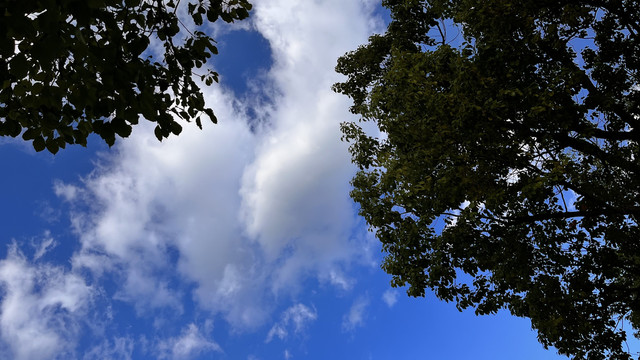 晴空