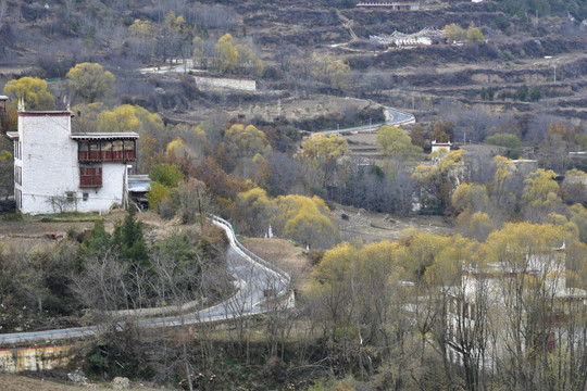 中路藏寨