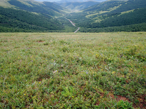 黄岗梁