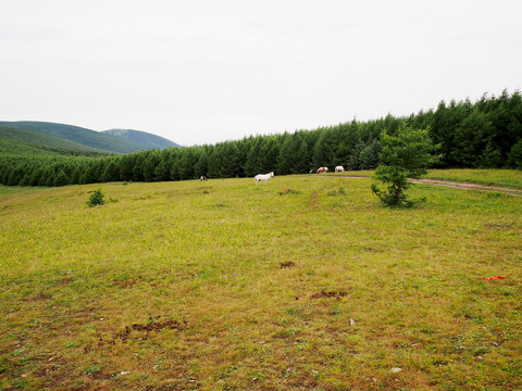 夏季黄岗峰