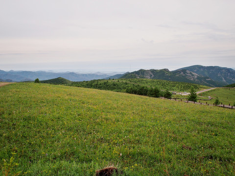 夏季黄岗峰