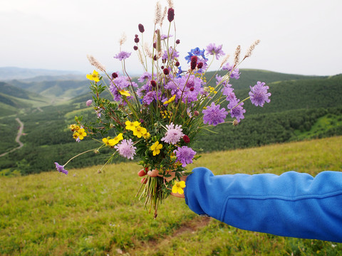 鲜花