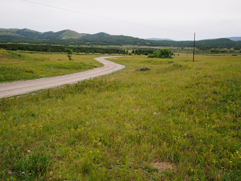 内蒙古草原风景