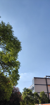 晴天