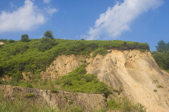 山岗植被和土层地质