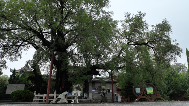 邹平长山范仲淹祠