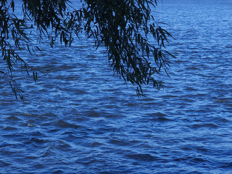 波光粼粼的水面浪花背景