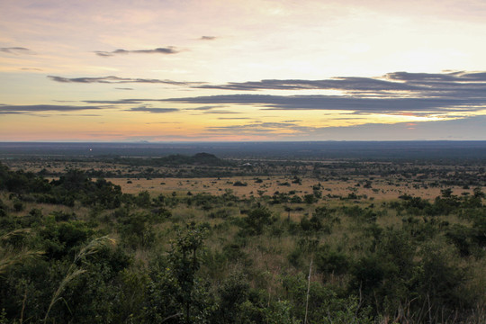 清晨的非洲草原