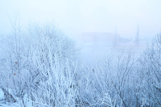 雾凇岛中国雪乡