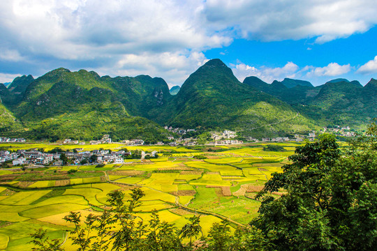 万峰林