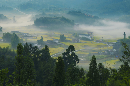 秋季田园风光