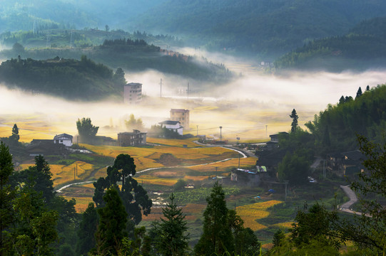 田园