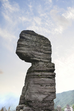 贵州梵净山景区的蘑菇石