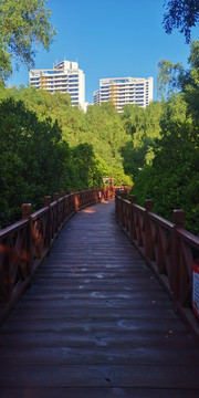 栈道风景