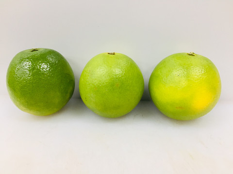 冰糖橙