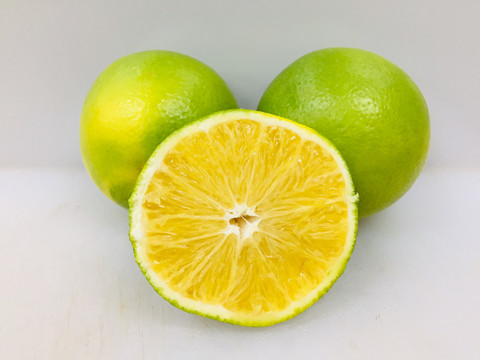 冰糖橙