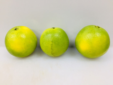 冰糖橙