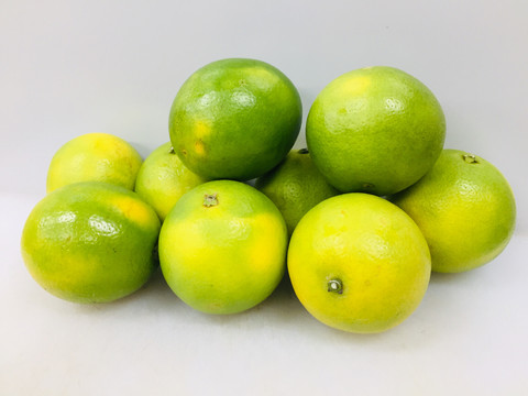 冰糖橙