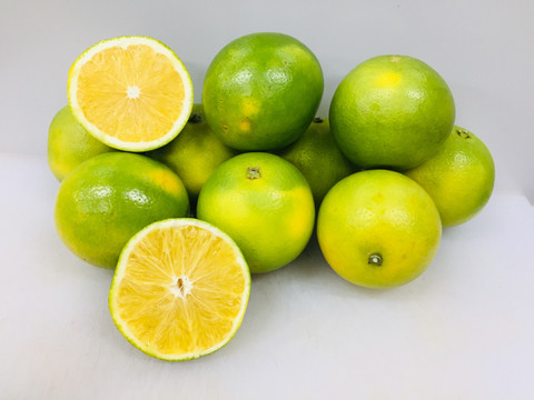 冰糖橙