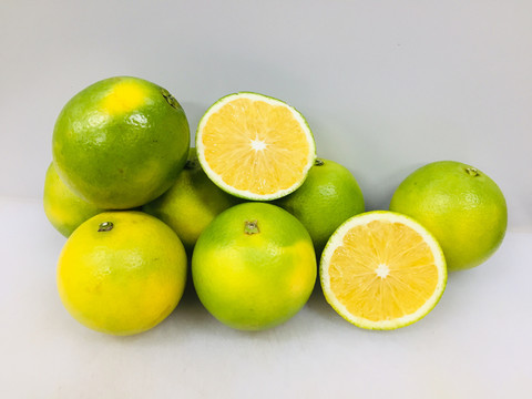 冰糖橙