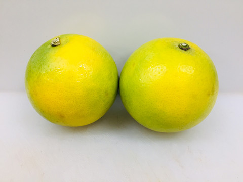 冰糖橙