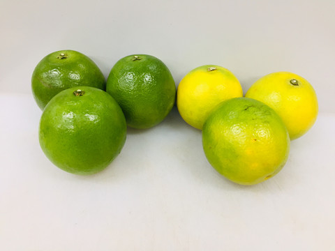 冰糖橙