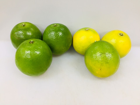 冰糖橙