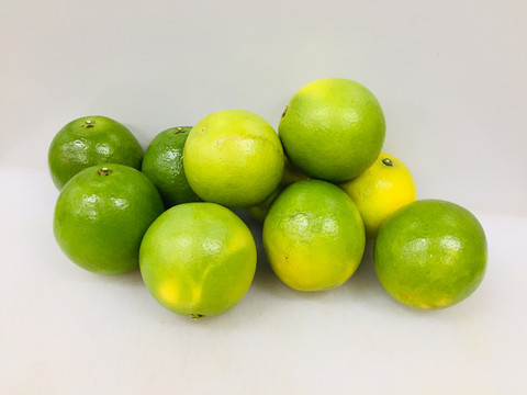 冰糖橙