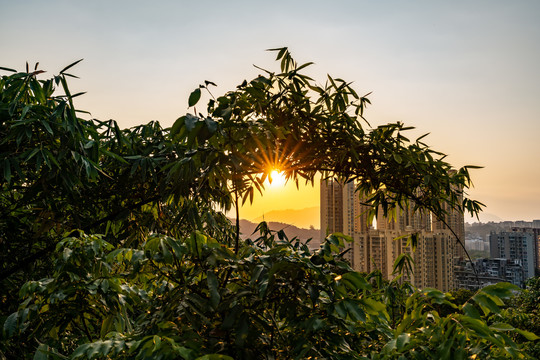 福道夕阳