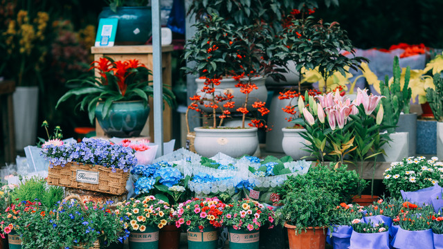 花店