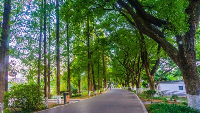 健康步道
