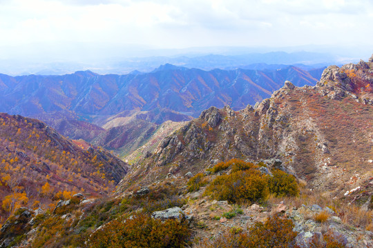 山景