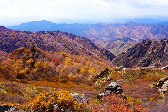 内蒙古大青山