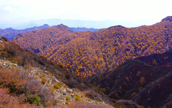 大青山山脉