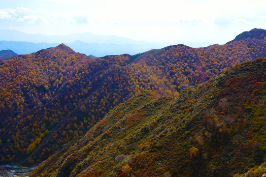 山景