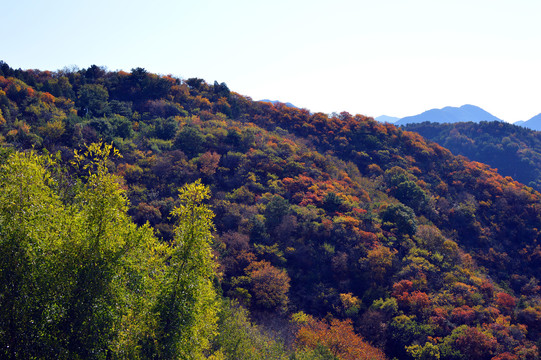 山峦