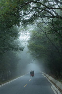 乡村道路