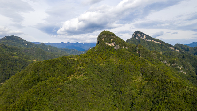 大坪村山峰