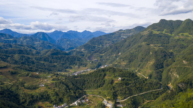 大坪村高山森林