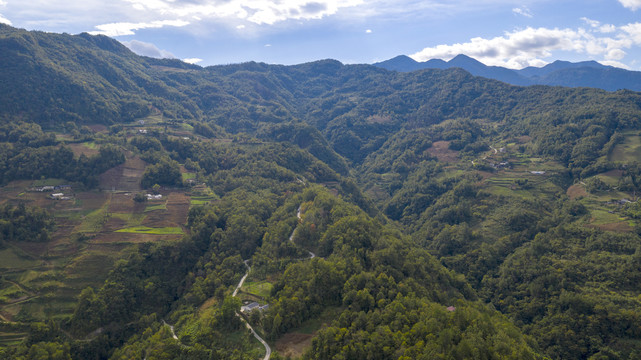 大坪村山峰